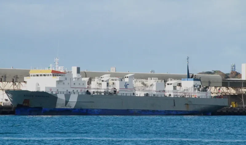 BISON EXPRESS General Cargo IMO 9115949 photo 8