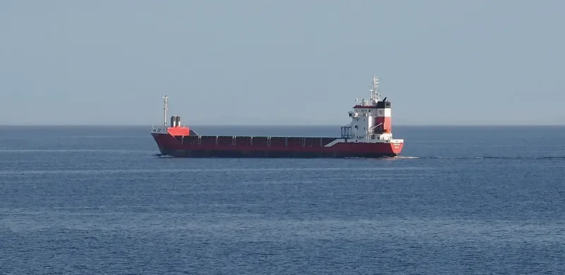 NORDIC DIANA Container Ship IMO 9116010 photo 9