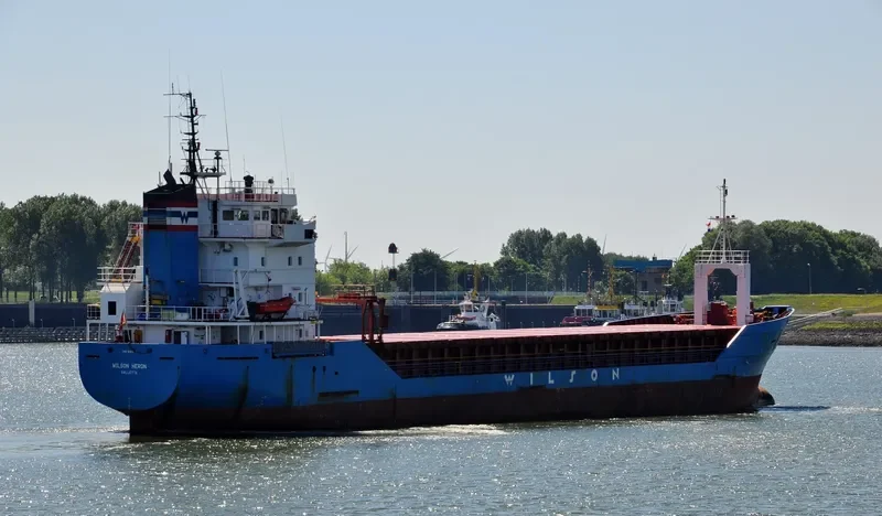 WILSON HERON General Cargo IMO 9116022 photo 4