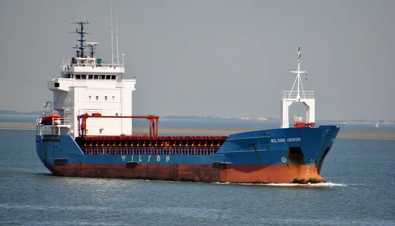 WILSON HERON General Cargo IMO 9116022 photo 5
