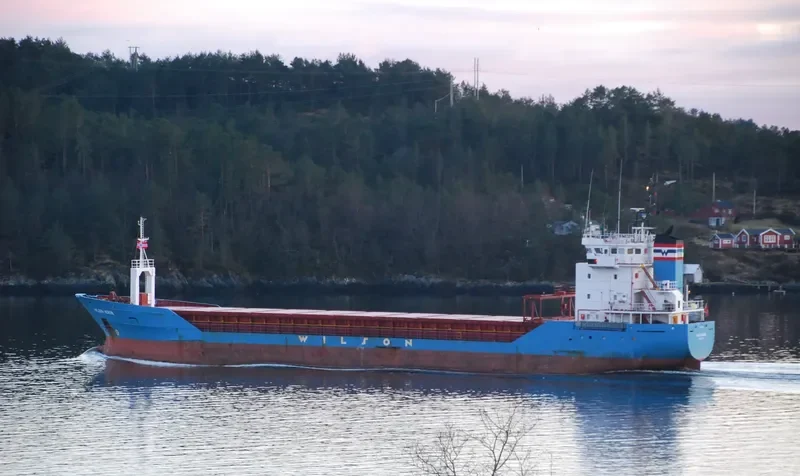 WILSON HERON General Cargo IMO 9116022 photo 6