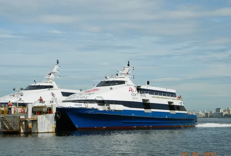 FALCAO Passenger Ship IMO 9116060 photo 2