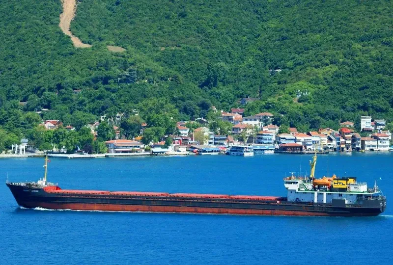MEKHANIK YUZVOVICH General Cargo IMO 9116101 photo 2