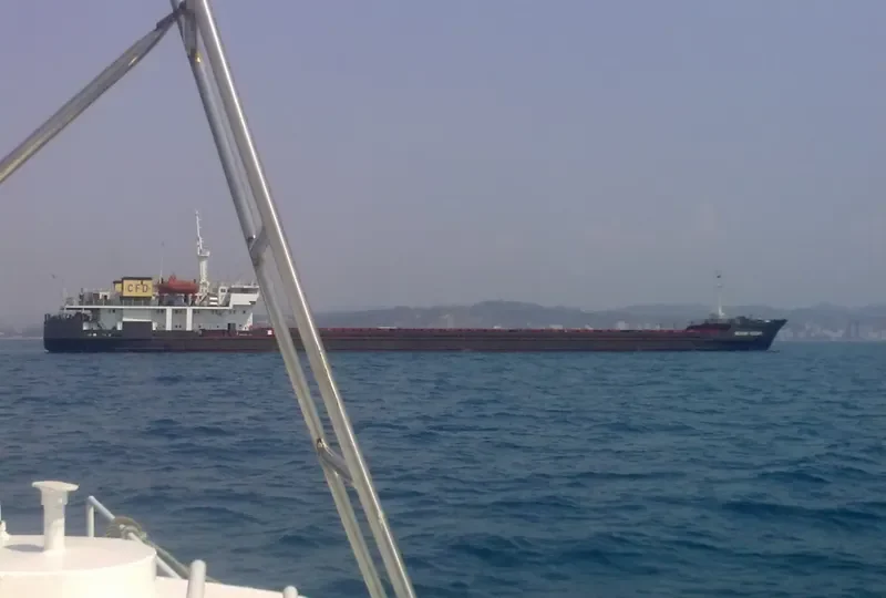 MEKHANIK YUZVOVICH General Cargo IMO 9116101 photo 8