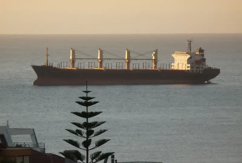 PRAVIK Bulk Carrier IMO 9116149 photo 6