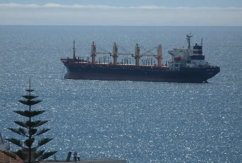 PRAVIK Bulk Carrier IMO 9116149 photo 7