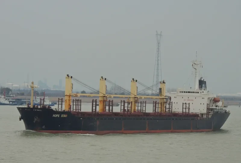 RUN FU 6 Bulk Carrier IMO 9116280 photo 6