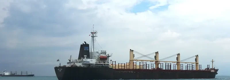 RUN FU 6 Bulk Carrier IMO 9116280 photo 9