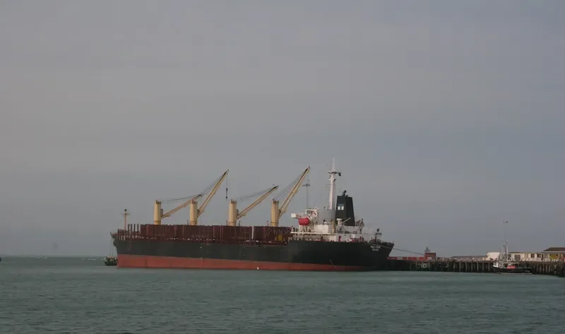 ISA GOLDEN Bulk Carrier IMO 9116292 photo 8
