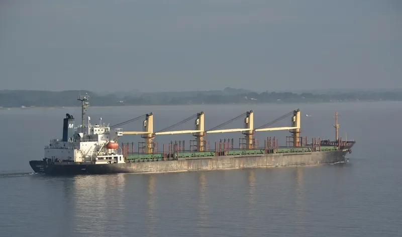 NAHIDE M Bulk Carrier IMO 9116319