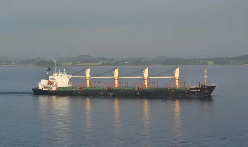 NAHIDE M Bulk Carrier IMO 9116319 photo 2