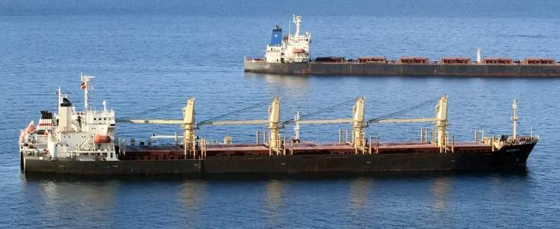 NAHIDE M Bulk Carrier IMO 9116319 photo 8