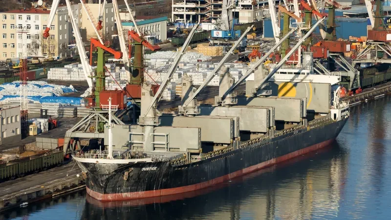 LAMAR Bulk Carrier IMO 9116321