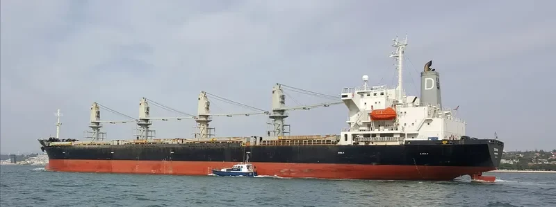 LAMAR Bulk Carrier IMO 9116321 photo 4