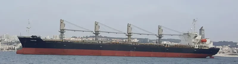 LAMAR Bulk Carrier IMO 9116321 photo 5