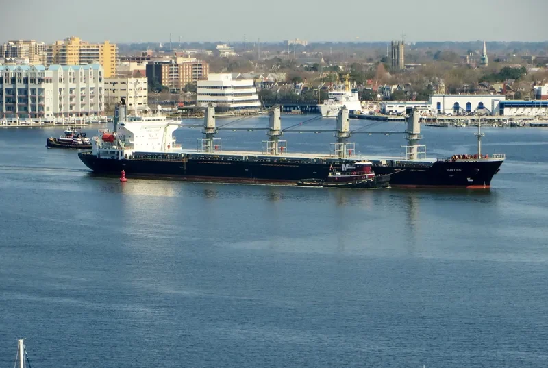 LAMAR Bulk Carrier IMO 9116321 photo 9