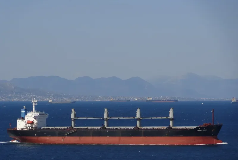 GREAT PEACE Bulk Carrier IMO 9116333 photo 4