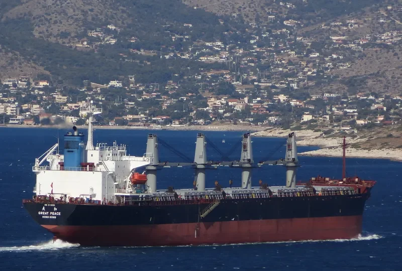 GREAT PEACE Bulk Carrier IMO 9116333 photo 5