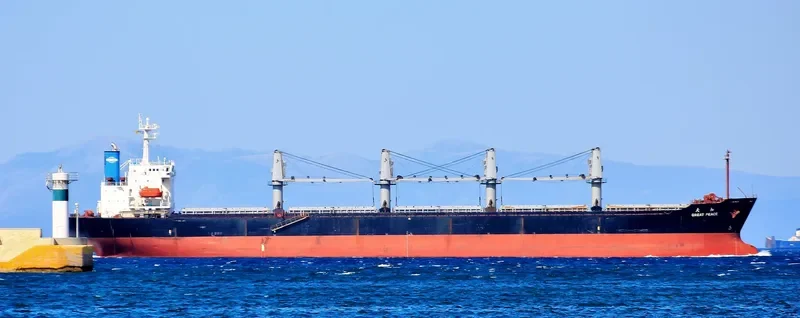 GREAT PEACE Bulk Carrier IMO 9116333 photo 6