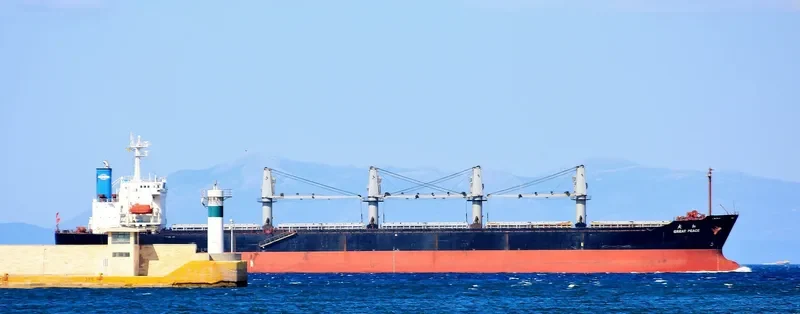 GREAT PEACE Bulk Carrier IMO 9116333 photo 7
