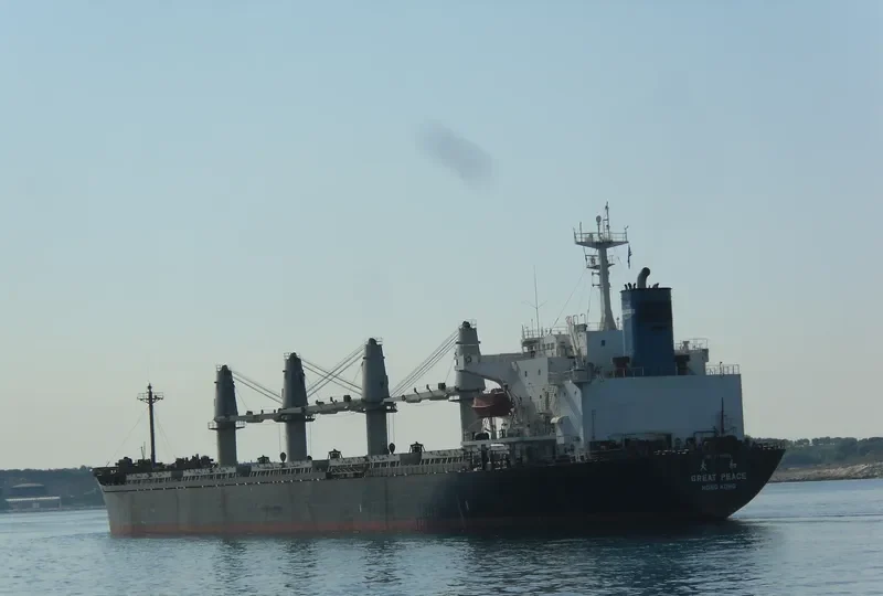 GREAT PEACE Bulk Carrier IMO 9116333 photo 8