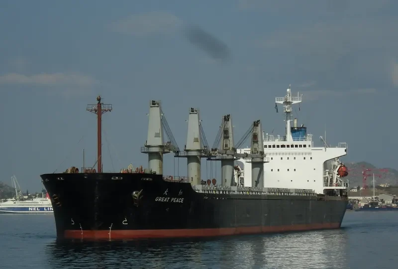 GREAT PEACE Bulk Carrier IMO 9116333 photo 9
