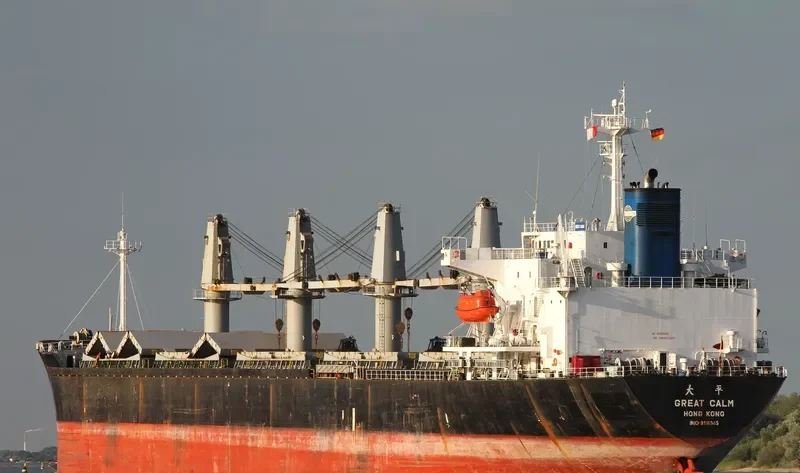 GREAT CALM Bulk Carrier IMO 9116345 photo 3