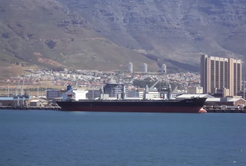GREAT CALM Bulk Carrier IMO 9116345 photo 9