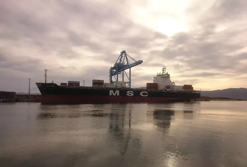 MSC SENA Container Ship IMO 9116369