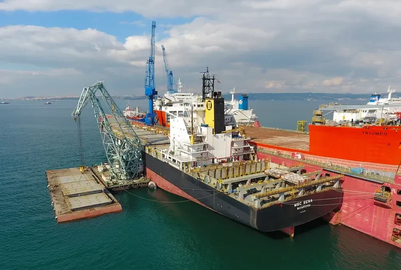 MSC SENA Container Ship IMO 9116369 photo 6