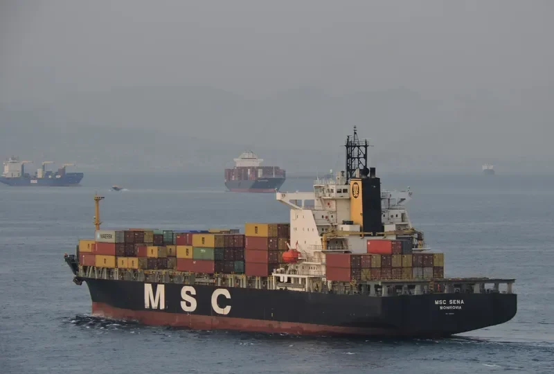 MSC SENA Container Ship IMO 9116369 photo 8