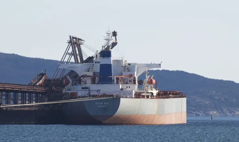 STAR BIG Bulk Carrier IMO 9116395 photo 3