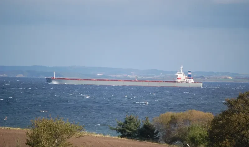 STAR BIG Bulk Carrier IMO 9116395 photo 4