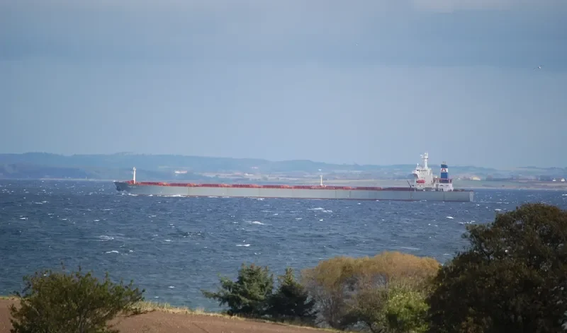 STAR BIG Bulk Carrier IMO 9116395 photo 5