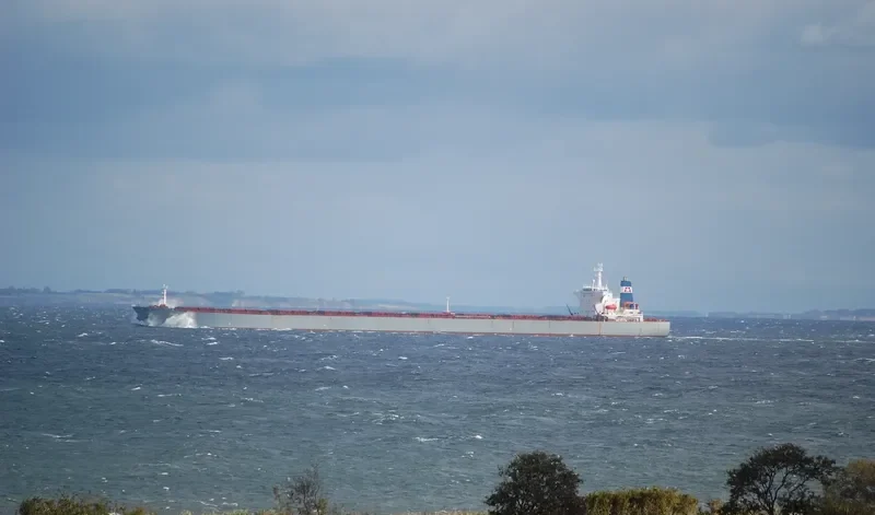 STAR BIG Bulk Carrier IMO 9116395 photo 7
