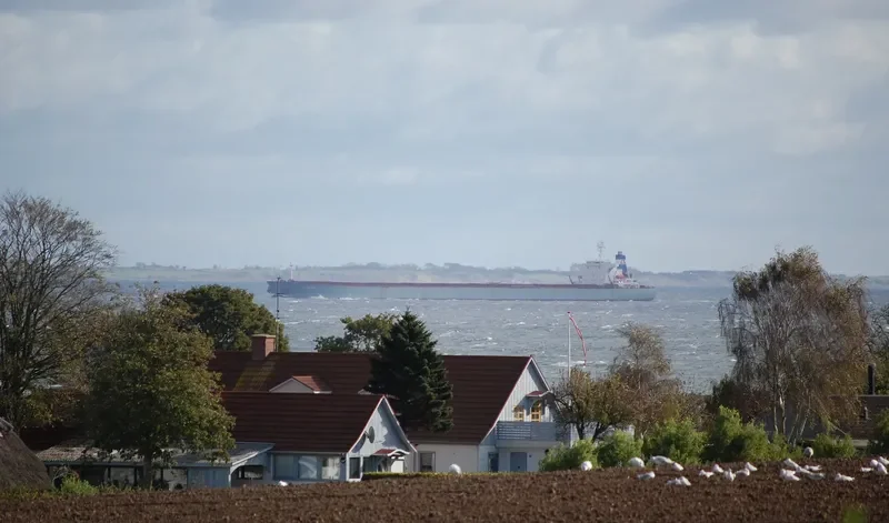 STAR BIG Bulk Carrier IMO 9116395 photo 8