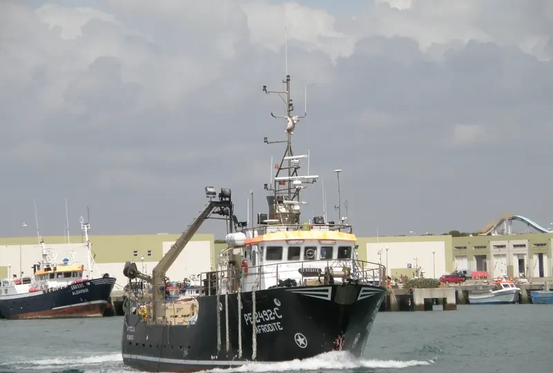 AFRODITE General Cargo IMO 9116474 photo 8