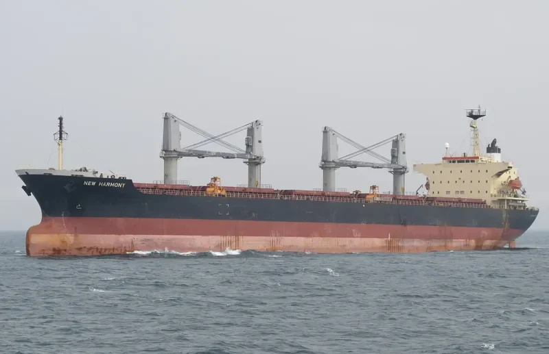 MJ BULKER Bulk Carrier IMO 9116553 photo 9
