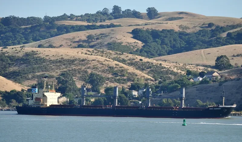 MJ BULKER Bulk Carrier IMO 9116553 photo 10