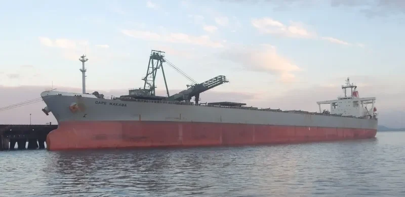 CAPE CANADA Bulk Carrier IMO 9116565 photo 2
