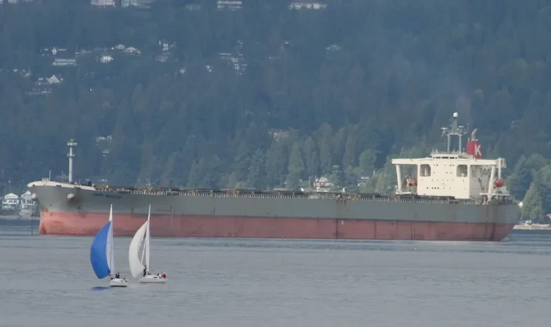 CAPE CANADA Bulk Carrier IMO 9116565 photo 6