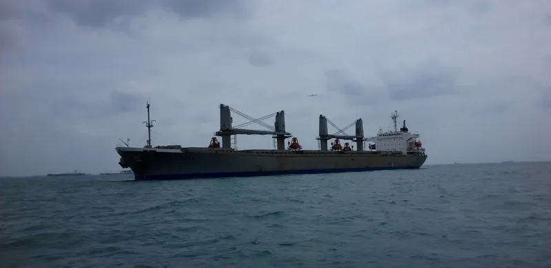 BEST TRAVELLER Bulk Carrier IMO 9116644 photo 2