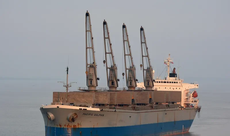 DZ QINGDAO Bulk Carrier IMO 9116656
