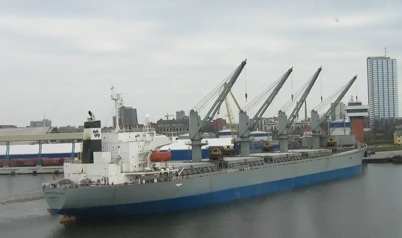 DZ QINGDAO Bulk Carrier IMO 9116656 photo 2