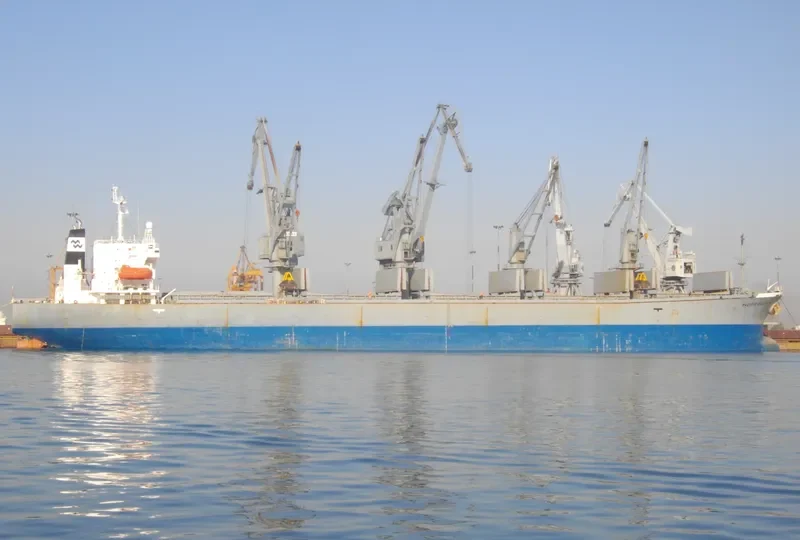 DZ QINGDAO Bulk Carrier IMO 9116656 photo 3