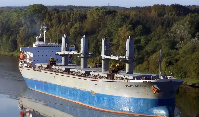 DZ QINGDAO Bulk Carrier IMO 9116656 photo 5