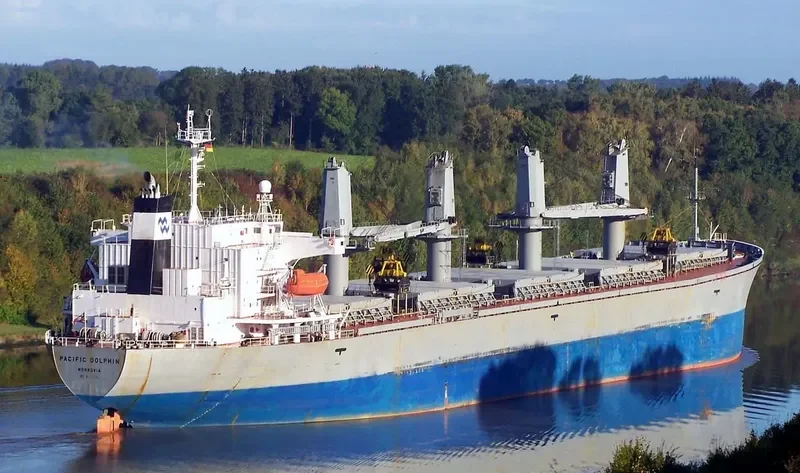 DZ QINGDAO Bulk Carrier IMO 9116656 photo 6