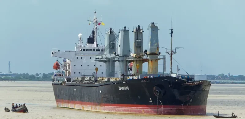 DZ QINGDAO Bulk Carrier IMO 9116656 photo 7