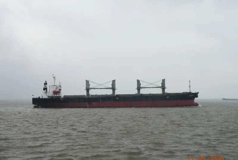 DZ QINGDAO Bulk Carrier IMO 9116656 photo 8