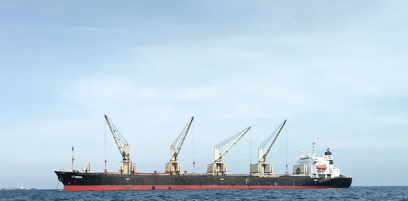 DZ QINGDAO Bulk Carrier IMO 9116656 photo 9